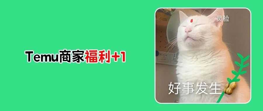 Temu再“放大招”！加拿大包税全额补贴，德国开卖食品抢市场！