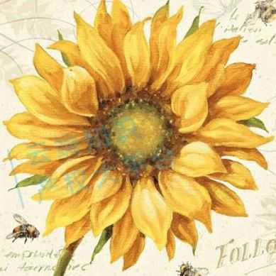 【25-cv-7929】Keith又盯家居类卖家!Lisa Audit向日葵版权TRO维权,账户资金暂未冻结!