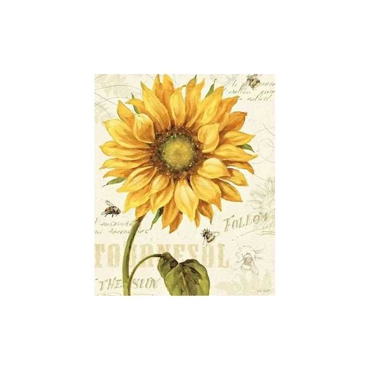 【侵权快讯】25-cv-7929 Keith代理Lisa Audit版权画发案维权!这张向日葵元素图片不能用了!