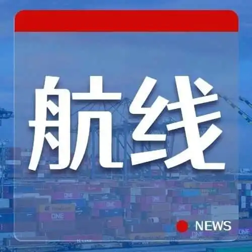 拉美航线!太平船务:新增两条支线!