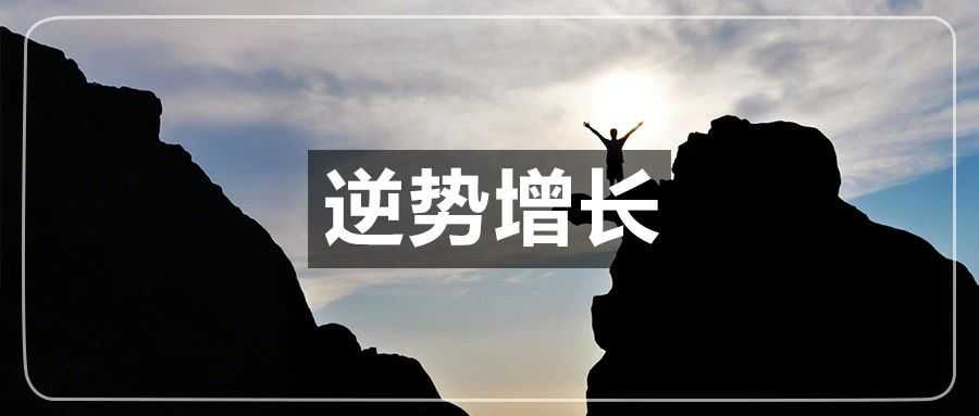 “跨境吸金王”半年狂赚12亿！重金投向新业务！