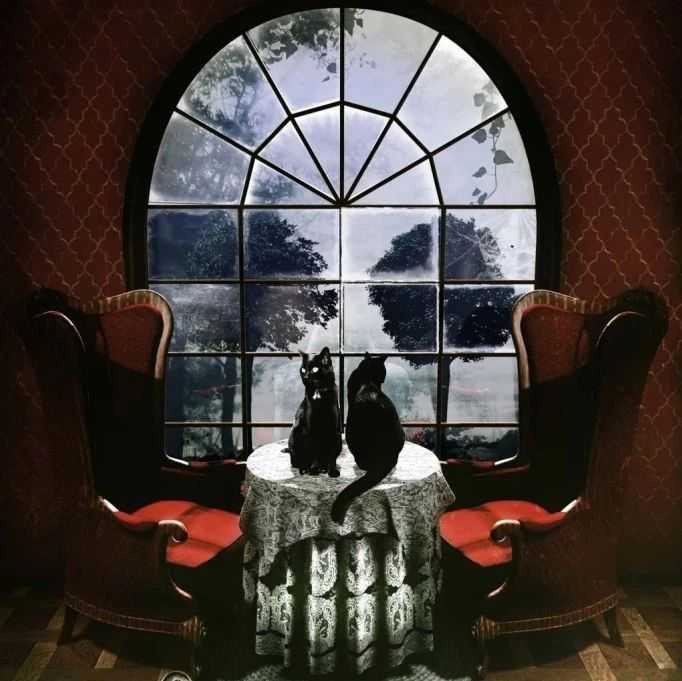 【25-cv-7997】花卉骷髅版权画维权,Ali Gulec发起 TRO诉讼,你的店铺有风险吗?