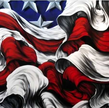 【25-cv-8277】美国国旗艺术作品维权,EVL Productions 首次发起TRO,账户还没冻结!