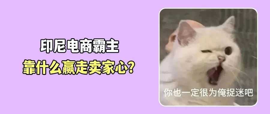 Shopee新费落地叠加印尼税收，卖家直呼扛不住！超六成卖家首选平台已危？