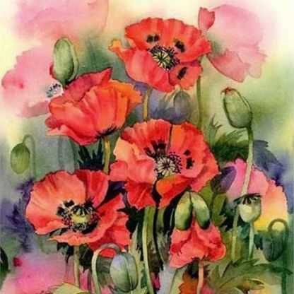 【25-cv-8408】Rachel水彩画TRO维权，花卉、葡萄酒场景侵权就告，跨境卖家速看！