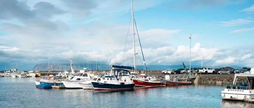 爆雷！知名货代遭查，3.6亿资产被冻结引行业震动～～