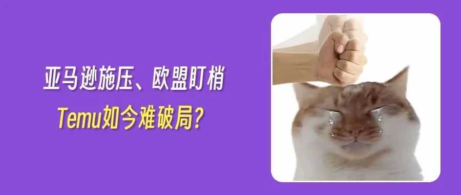 Temu美国遭亚马逊定价狙击，借势中美谈判重启广告能否力挽狂澜？