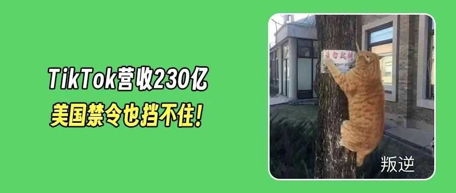 TikTok营收230亿！越南69%增速剑指Shopee，美国禁令下用户更爱了？