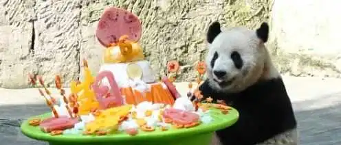 吃这么好?