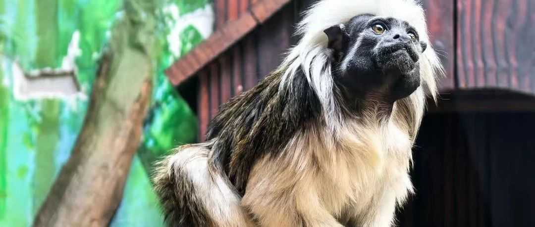 150欧元免税门槛最快或将于年底取消！