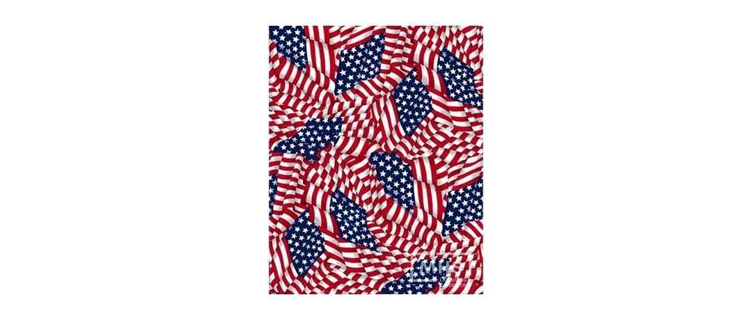 【侵权快讯】旗帜类卖家速看避雷！Keith代理这张星条旗版权连发三案，立刻下架！