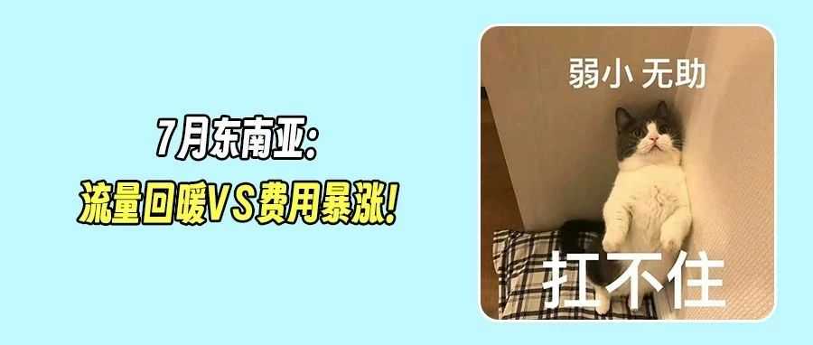 东南亚旺季来袭：最高增长14.5%！流量回暖卖家反陷“费用”焦虑？