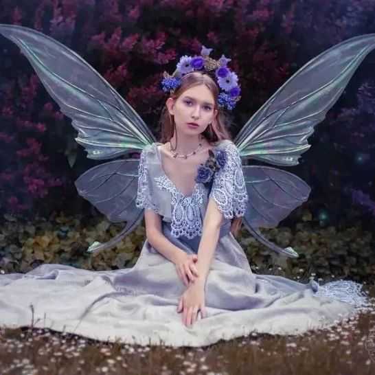 【25-cv-9595】Angela Jarman蝴蝶翅膀版权TRO维权,账户暂未冻结!