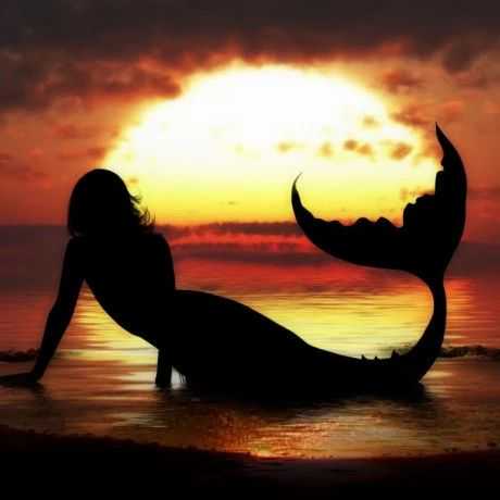 【25-cv-9556】涉及美人鱼、仙子剪影?Julie Ann Fain已发起TRO维权,账户还未冻结!