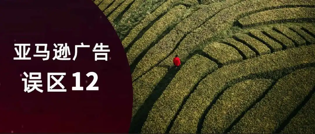 广告类型怎么选：SP/SB/SBV/SD 的适用场景与常见组合
