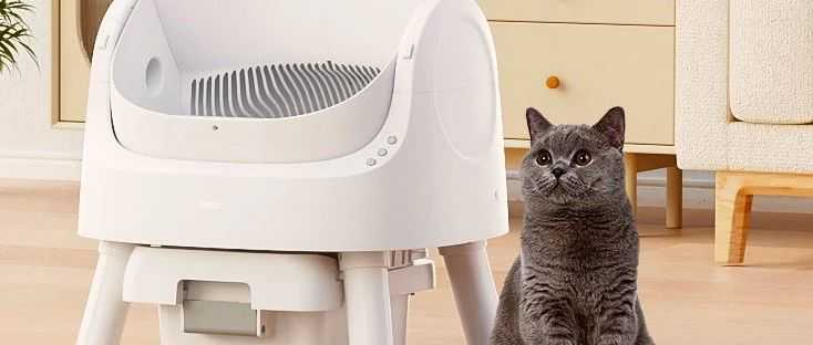 两个深圳女生的TikTok破圈记，靠一款智能猫砂盆在美国赚了2亿！