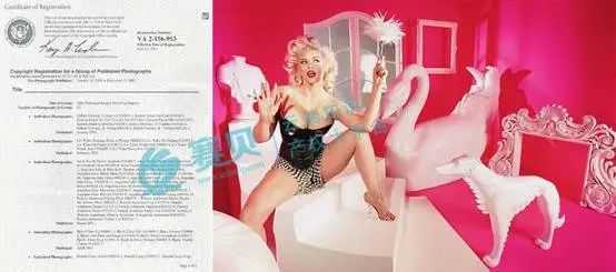 图片包含 游戏机  AI 生成的内容可能不正确。