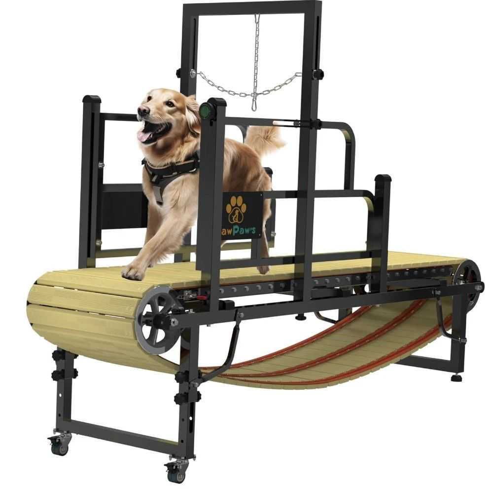 【25-cv-10002】亚马逊热销PawPaw’s宠物跑步机美国外观专利发起TRO维权，未开始冻结账户！