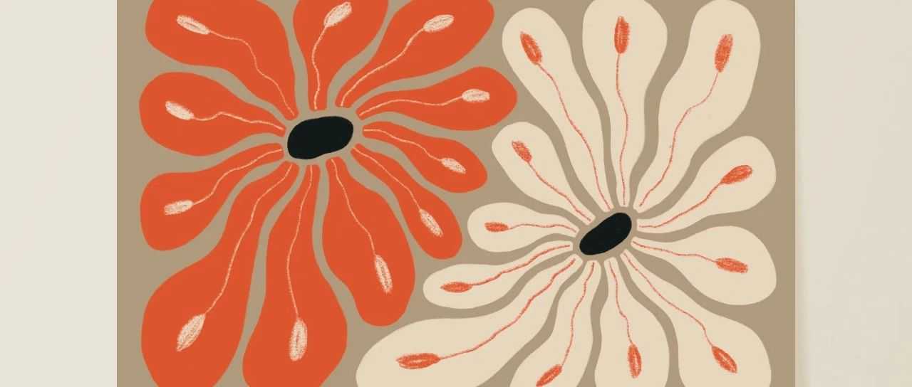 当日连发！David律所为两位新代理艺术家作品维权！