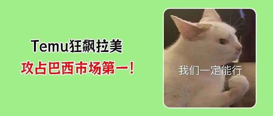 拼多多Q2营收放缓：背后竟有Temu新战略！巴西登顶只是开始？