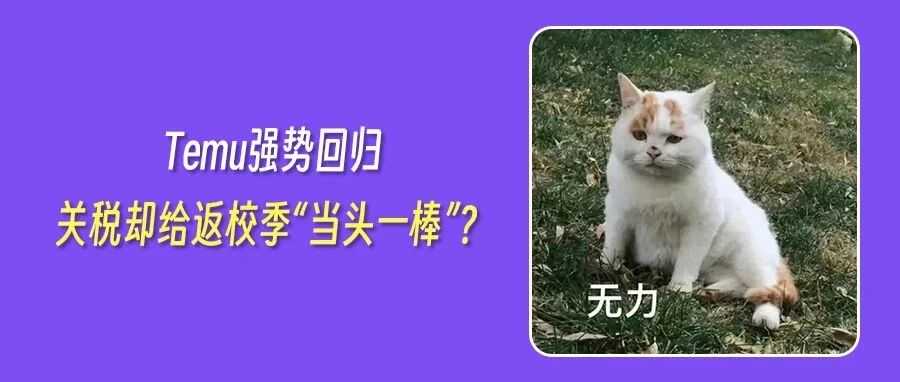 Temu猛攻美国市场：重启直发、狂投广告！美国返校季遭遇通胀冲击？