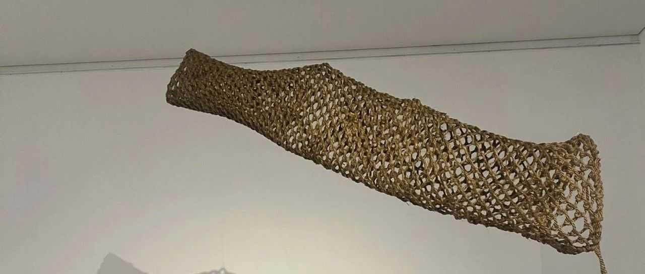 USPS大规模关停折扣账号或引发跨境行业震荡