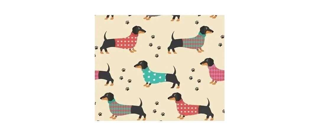 【侵权快讯】25-cv-8690 匿名案件浮出水面！这张腊肠狗矢量图正在维权，速排查下架！