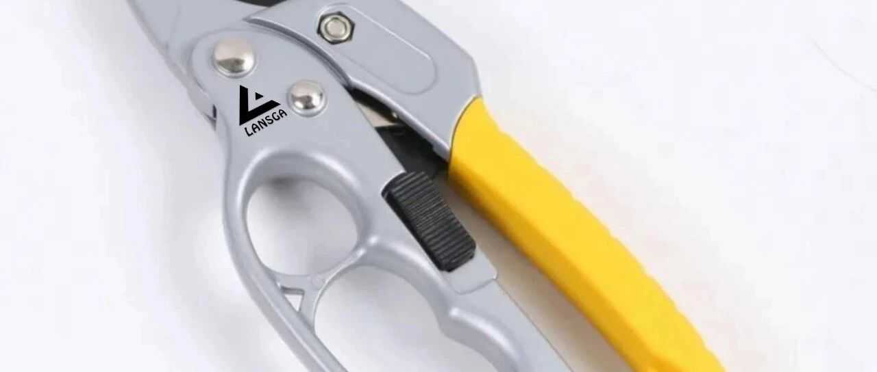 注意！“LANSGA”商标维权行动波及149家店铺！