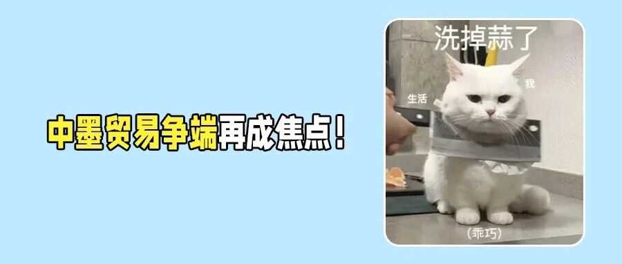 预警！墨西哥计划加征对华关税！全球海关严查风暴再度升级！