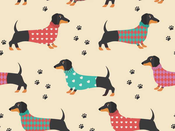 Eigenproduktion 50 cm Hunde Dackel mit Pulli Satinbaumwolle Meterware