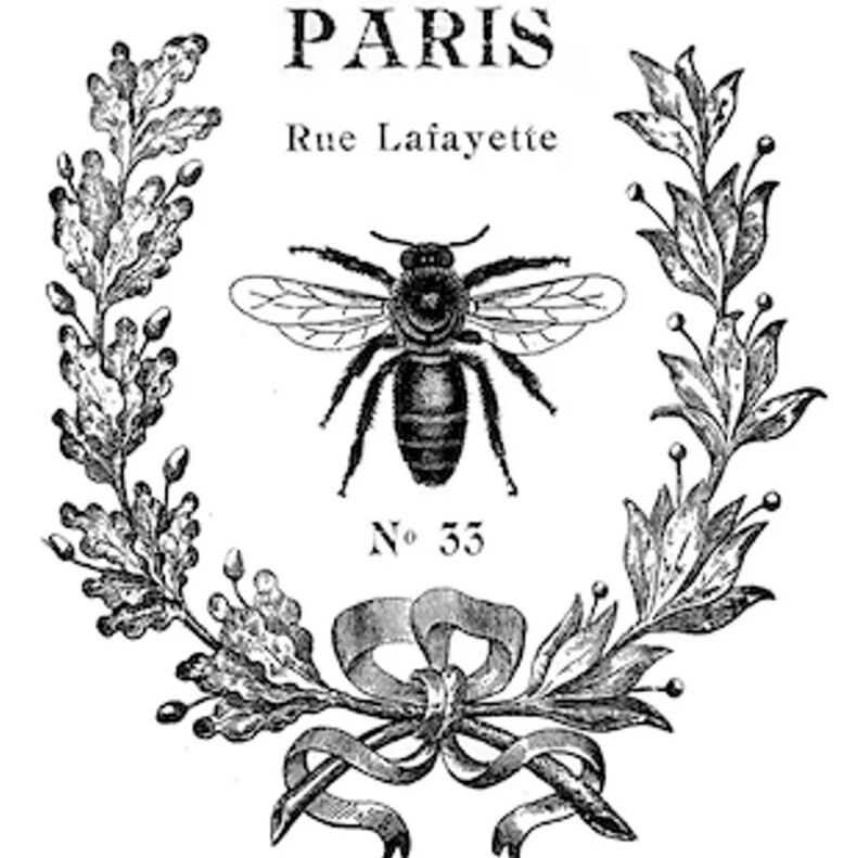 【25-cv-10503】Venus Pike版权TRO来袭！《Paris Bee》作品维权，目前未冻结账户！