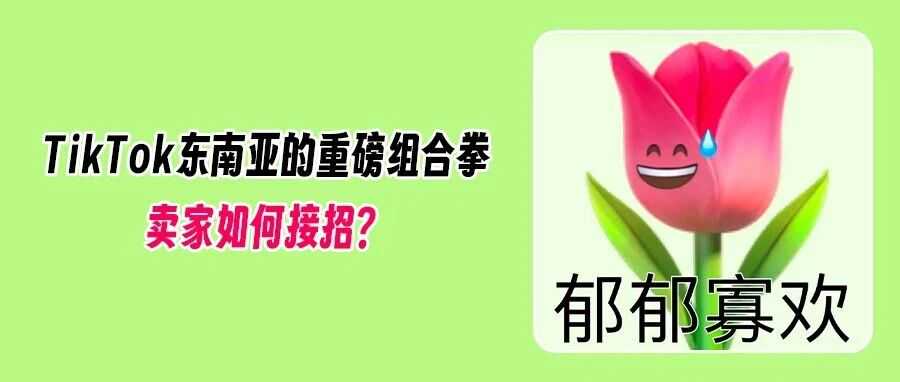 TikTok泰国站重磅新政:征收电商服务费!卖家成本再添一笔?