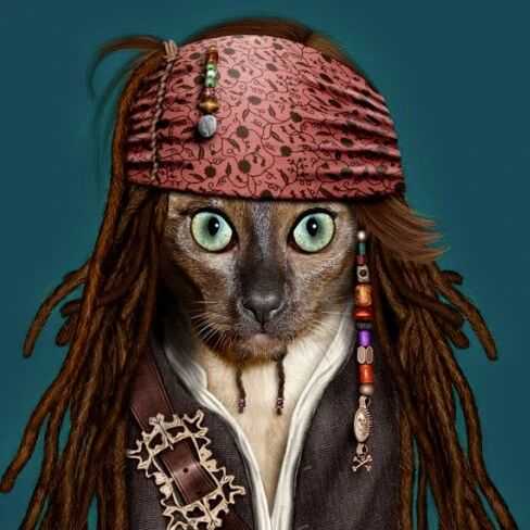 【25-cv-10575】又一批店铺要冻结？14个PETS ROCK宠物角色版权TRO维权，跨境卖家注意避雷！