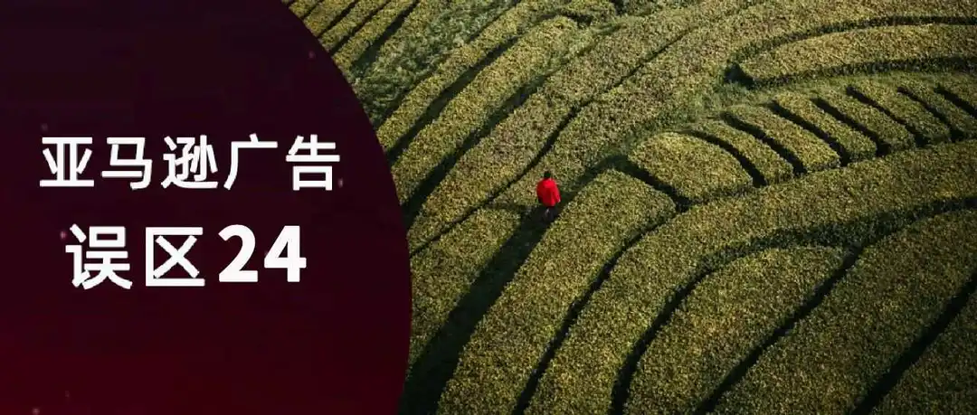 预算怎么投入更值得：“集中打强 SKU”与“铺量覆盖”的取舍