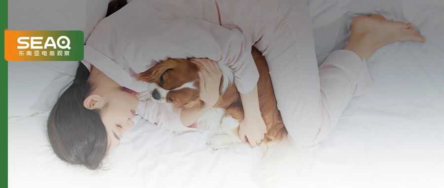 溢价几十倍的宠物殡葬，让东南亚卖家游向百亿蓝海