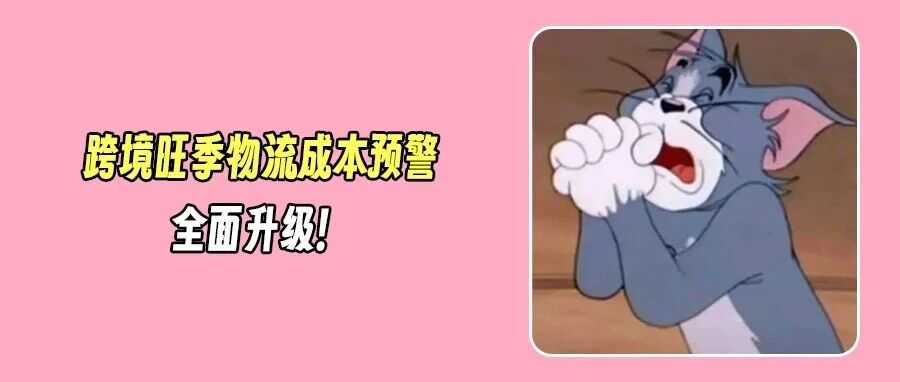 跨境物流又迎涨价潮!多家巨头上调旺季附加费,卖家利润再受压?