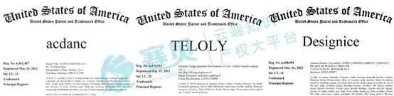 文本  AI 生成的内容可能不正确。