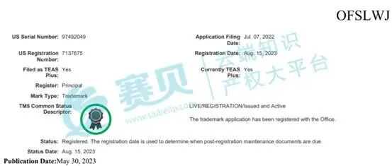 文本  AI 生成的内容可能不正确。