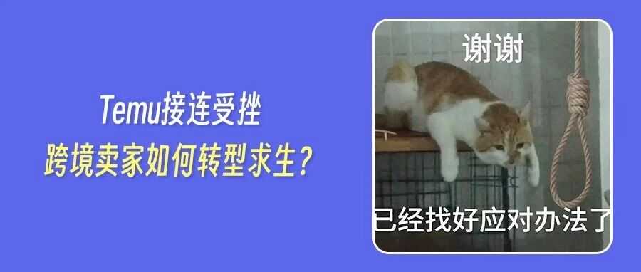 Temu运营商遭美国重罚200万!卖家资质严审查风暴正在逼近!