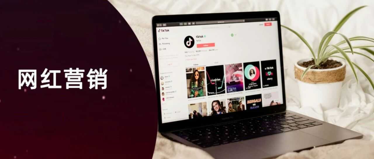 站外别再烧冤枉钱了，原来这样才能真正有效建联高质量网红冲销量！