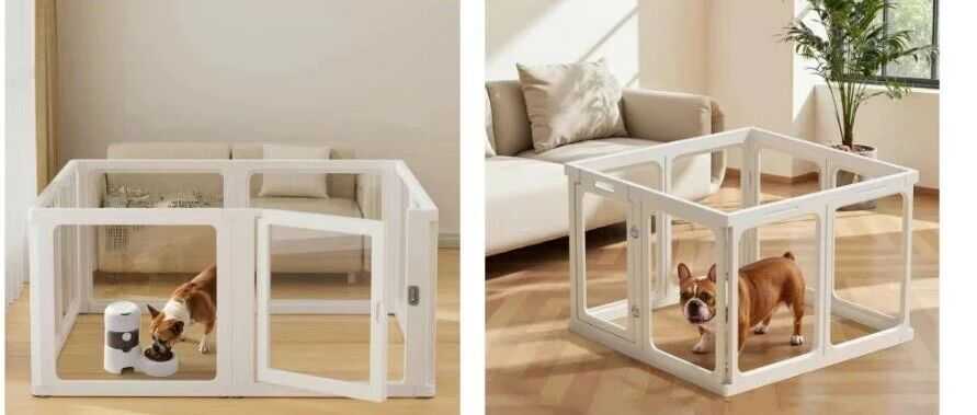 宠物类产品TRO侵权高发！卖家赶紧排查！