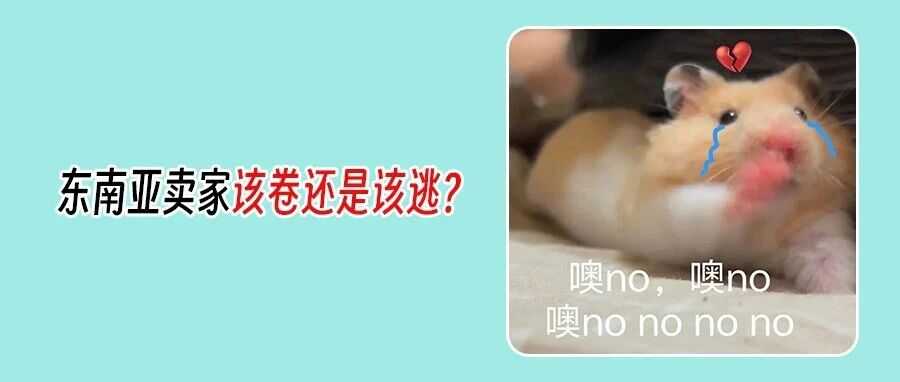 印尼佣金大涨？TikTok Shop越南市场份额跃升！东南亚市场正在大洗牌？