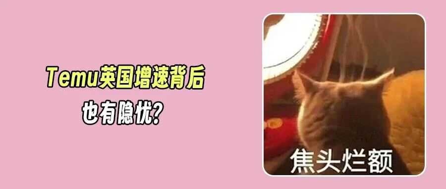 欧洲市场战火升级！Temu英国收入利润翻倍，Shein欧洲月活1.46亿！