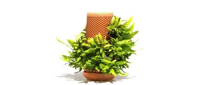 众筹600万美元的陶瓷花盆，有何魔力？