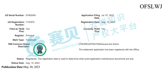 文本  AI 生成的内容可能不正确。
