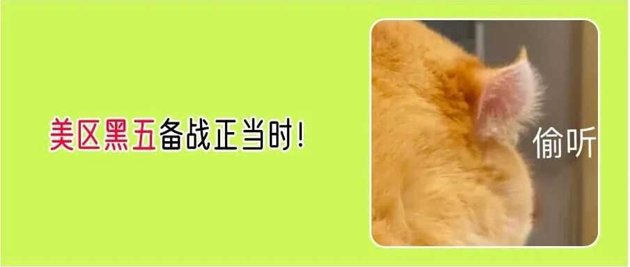 美区黑五大战打响!Temu10月9日启动预热,TikTok Shop报名已开放!