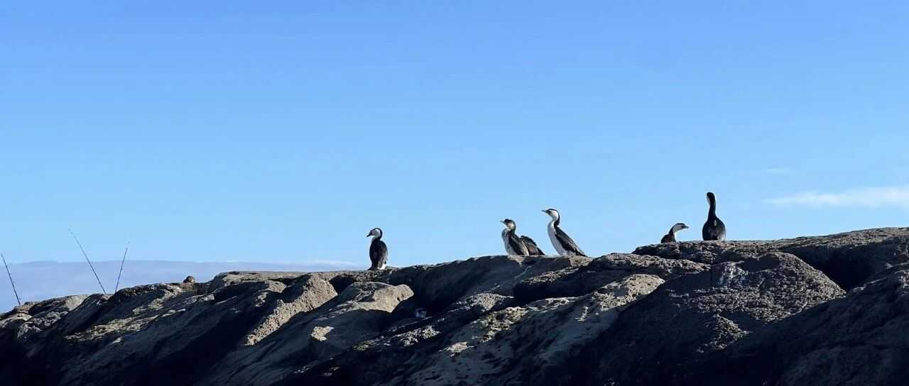 重磅!等待11天后中欧班列迎通行曙光:波兰宣布将于25日重启波白边境口岸!