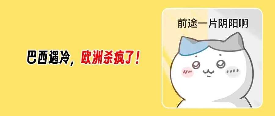 Temu巴西流量暴跌！欧洲却狂揽近20亿美元！卖家下一站风向已变？