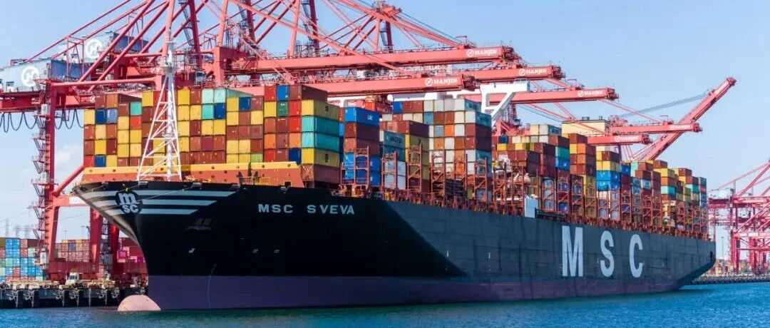 最新调整！MSC推出1条新航线，2条航线升级优化！