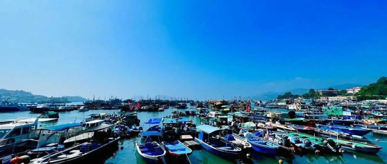 突发！中美海运停航量创疫情以来新高，贸易航线迎“冰点时刻”